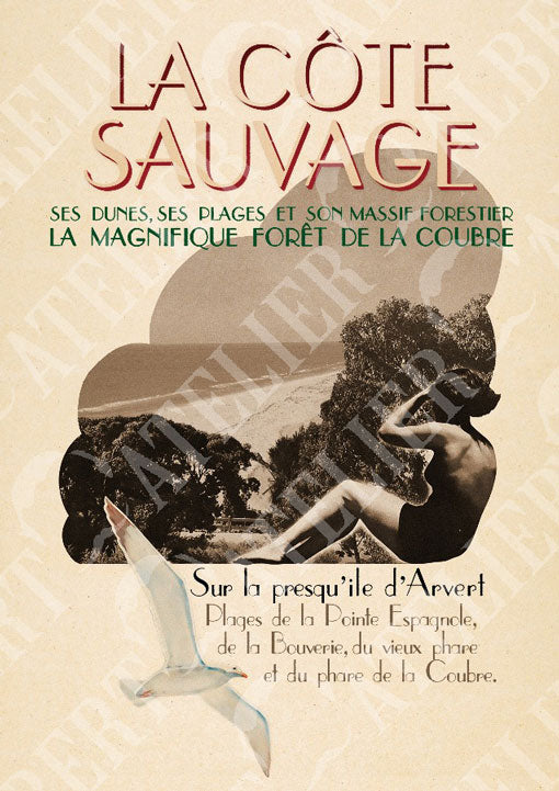 LA CÔTE SAUVAGE