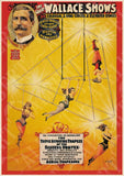 WALLACE TRAPEZE